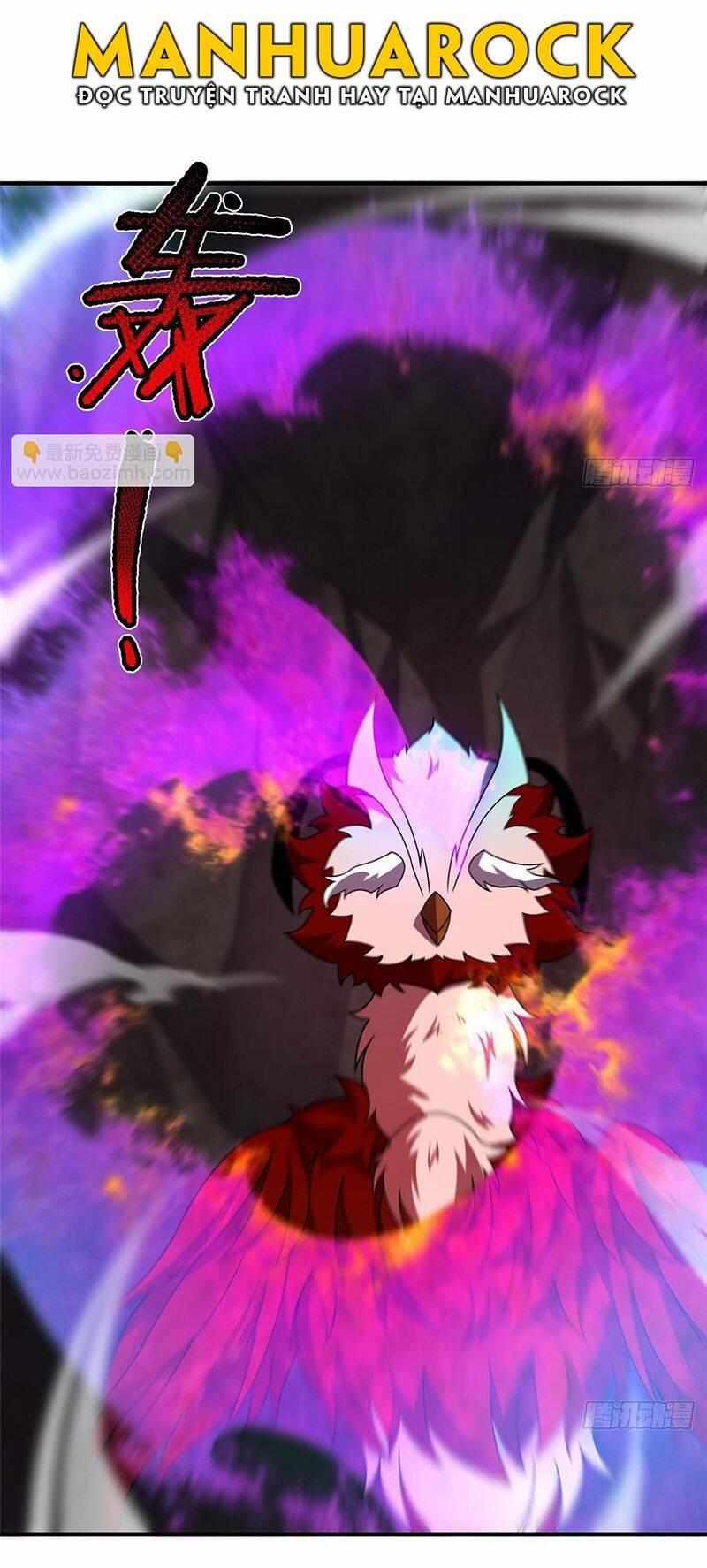 Thần Sủng Tiến Hóa 312 trang 29