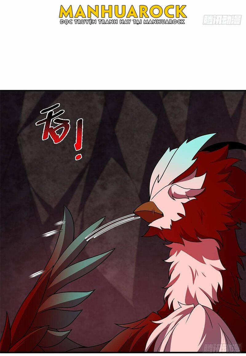 Thần Sủng Tiến Hóa 312 trang 31