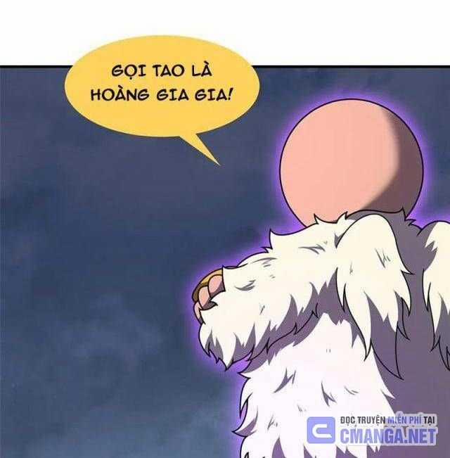 Thần Sủng Tiến Hóa 326 trang 17