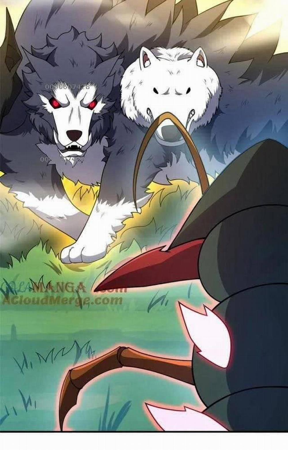 Thần Sủng Tiến Hóa 328 trang 11