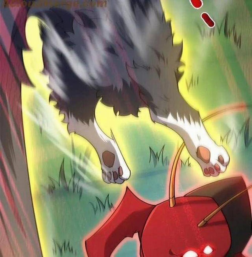 Thần Sủng Tiến Hóa 328 trang 14