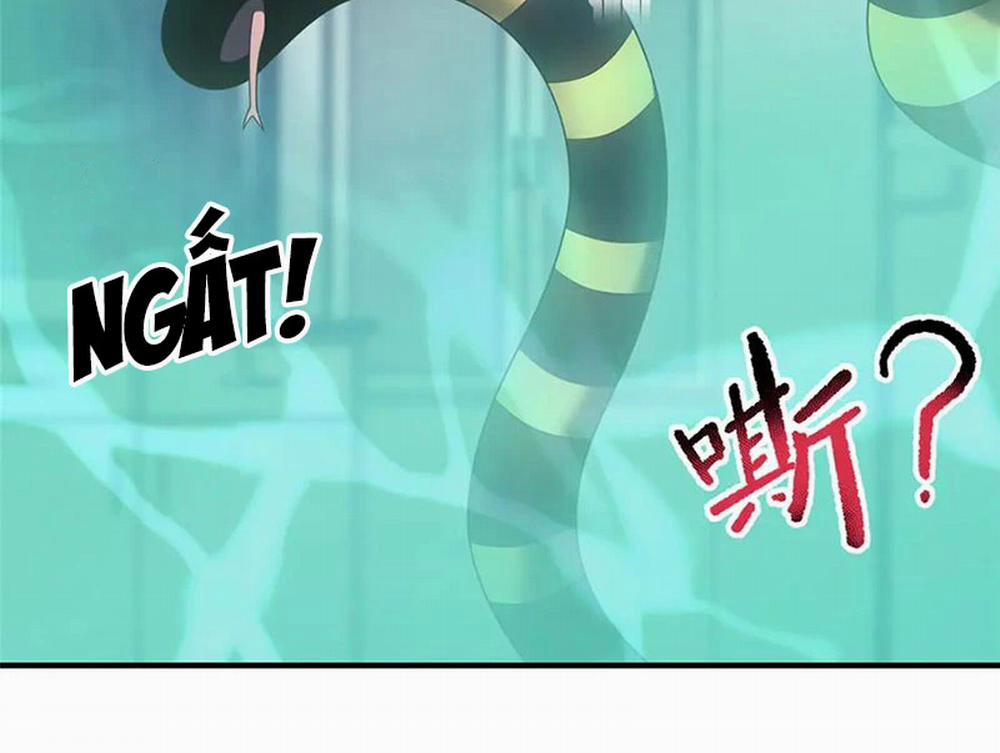 Thần Sủng Tiến Hóa 339 trang 3