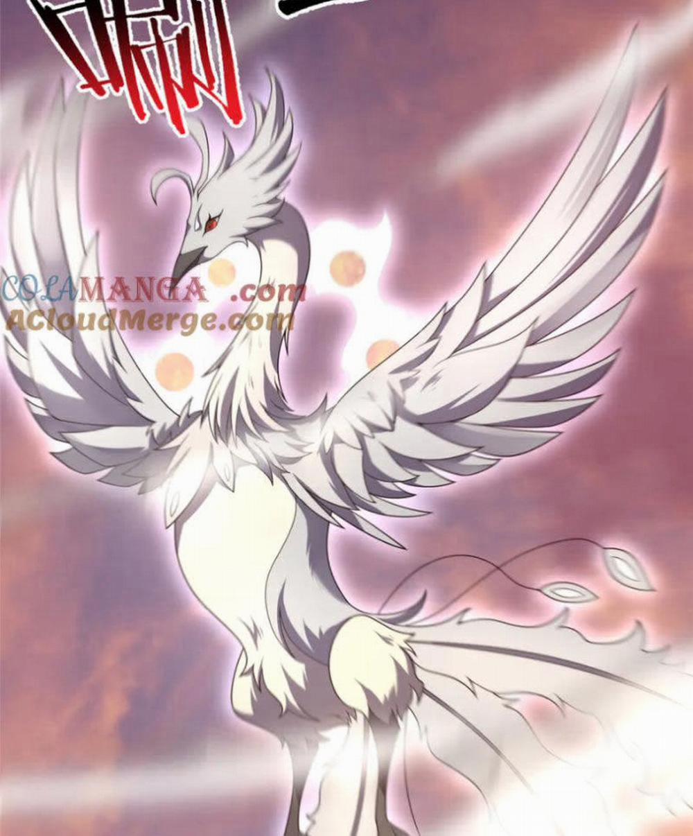 Thần Sủng Tiến Hóa 349 trang 14