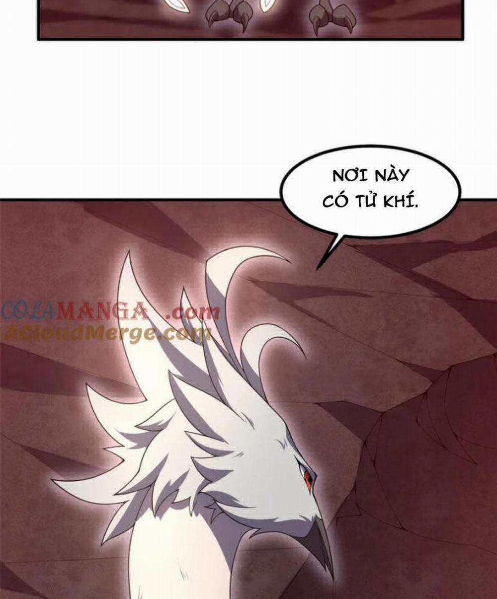 Thần Sủng Tiến Hóa 349 trang 19