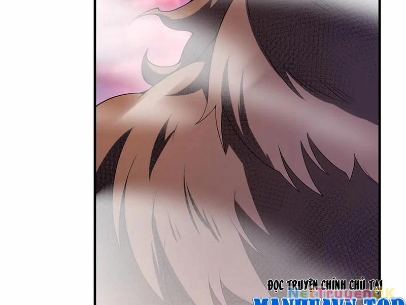 Thần Sủng Tiến Hóa 368 trang 22