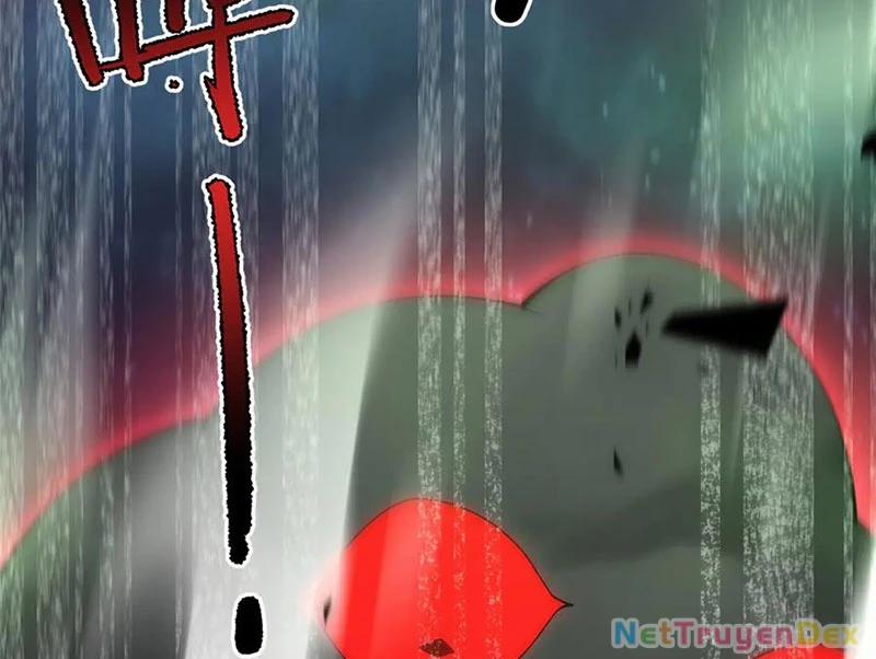 Thần Sủng Tiến Hóa 370 trang 12