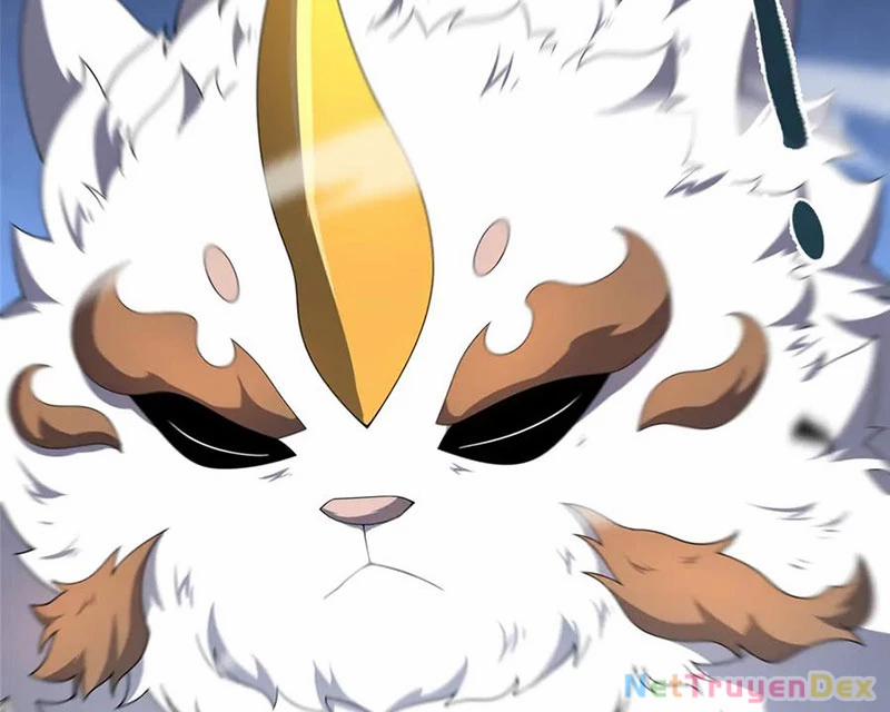 Thần Sủng Tiến Hóa 372 trang 70