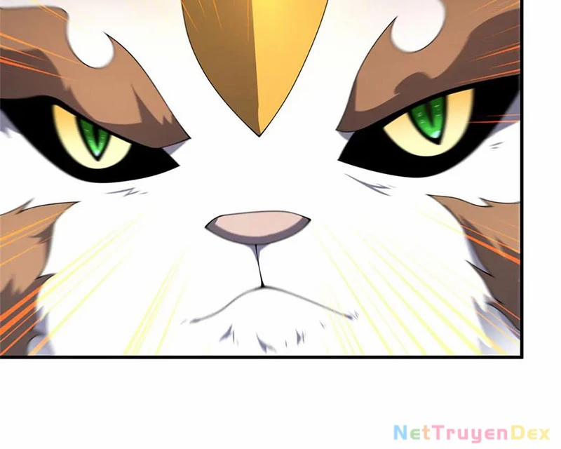 Thần Sủng Tiến Hóa 372 trang 73