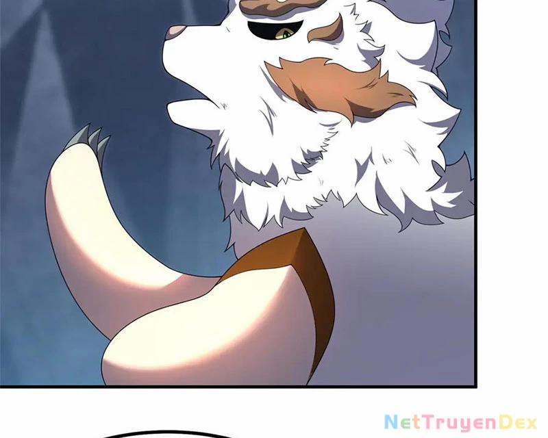 Thần Sủng Tiến Hóa 372 trang 79