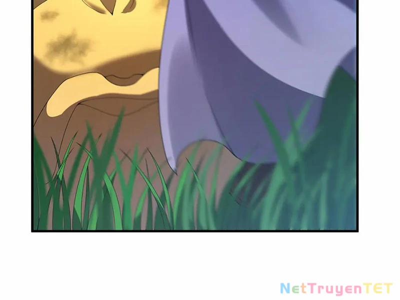 Thần Sủng Tiến Hóa 376 trang 19