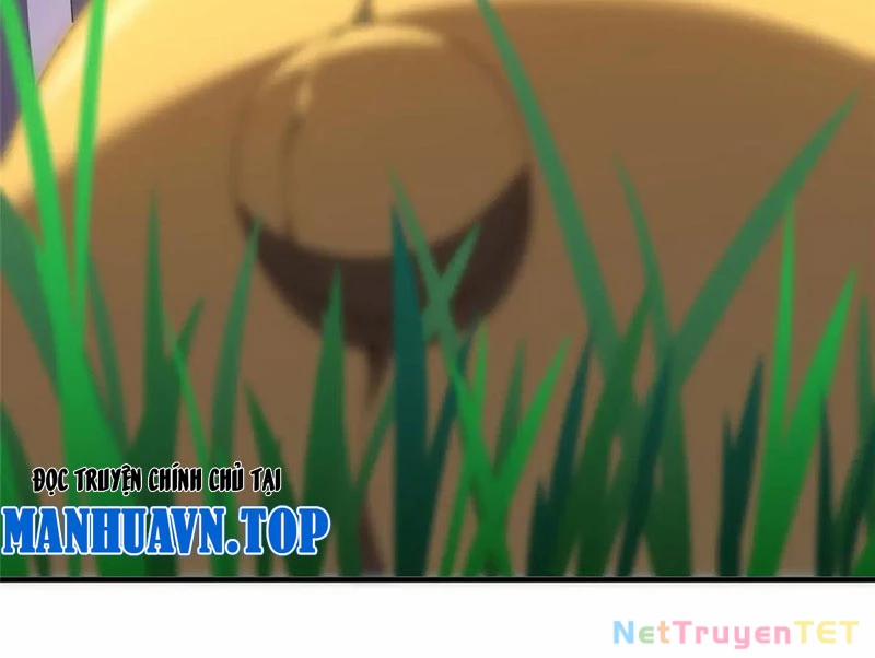 Thần Sủng Tiến Hóa 376 trang 29