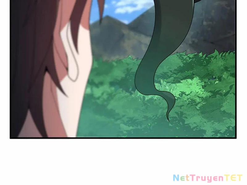 Thần Sủng Tiến Hóa 376 trang 31