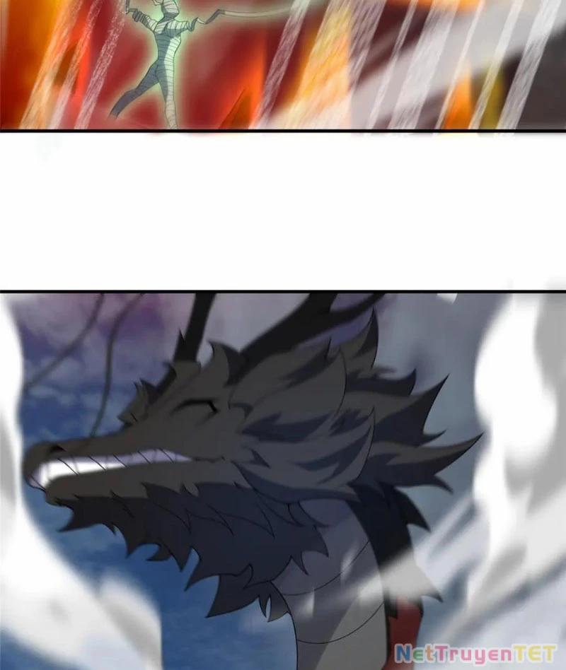 Thần Sủng Tiến Hóa 380 trang 46