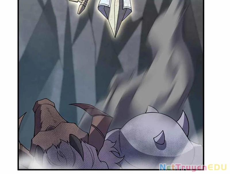 Thần Sủng Tiến Hóa 381 trang 14