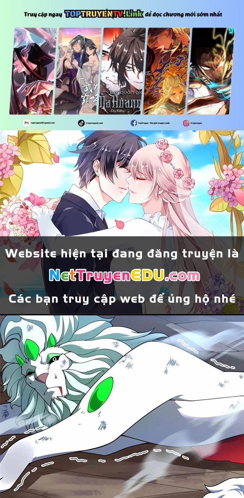 Thần Sủng Tiến Hóa 384 trang 0