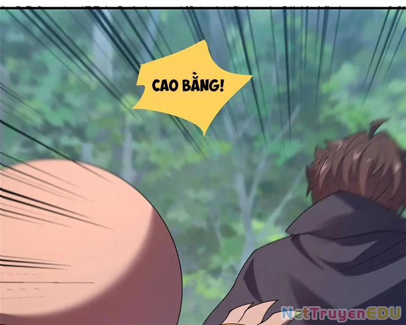 Thần Sủng Tiến Hóa 384 trang 43