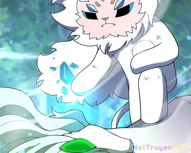 Thần Sủng Tiến Hóa 384 trang 54