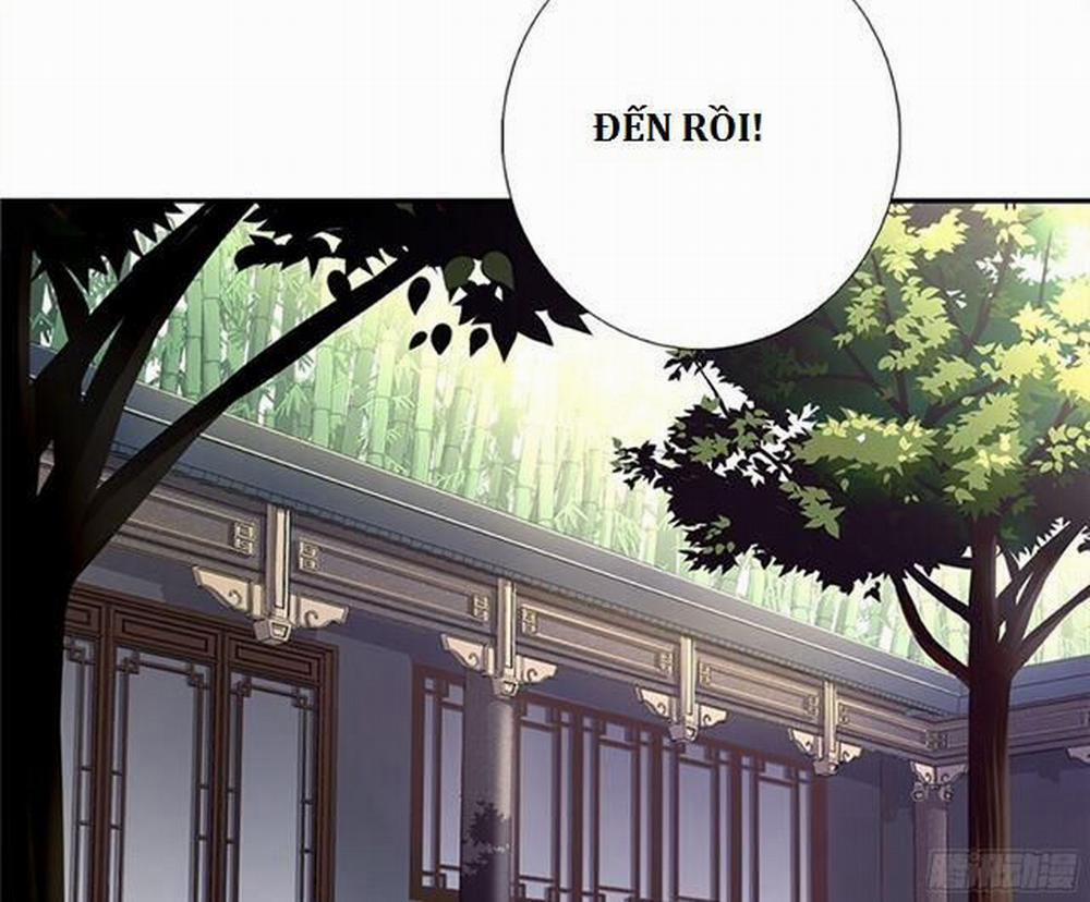 Thần Trù Cuồng Hậu 38 trang 12