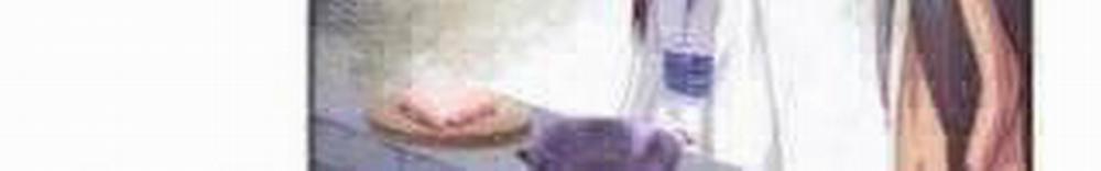 Thần Trù Cuồng Hậu 58 trang 124