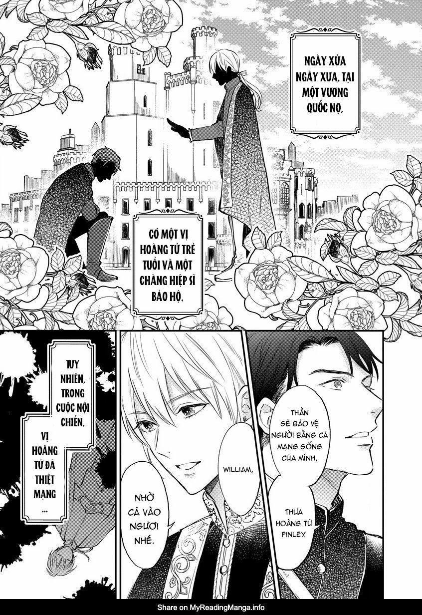 Thần tượng sống và chàng hiệp sĩ Doruota 1 trang 3