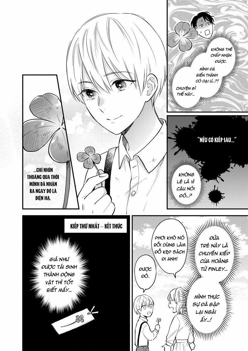 Thần tượng sống và chàng hiệp sĩ Doruota 1 trang 8