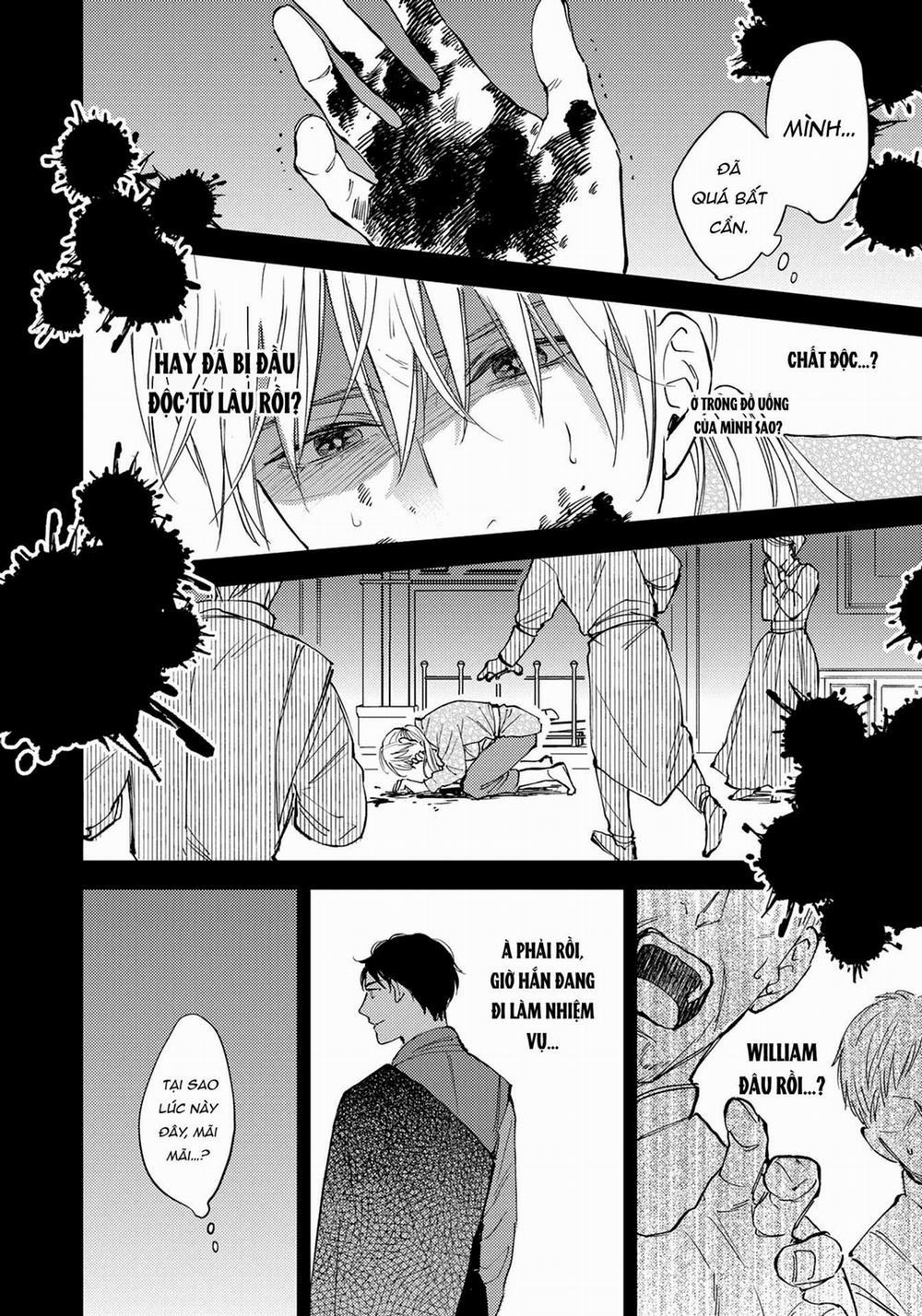 Thần tượng sống và chàng hiệp sĩ Doruota 4 trang 14