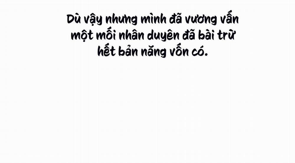 Tháng 12 Của Tôi 8 trang 190