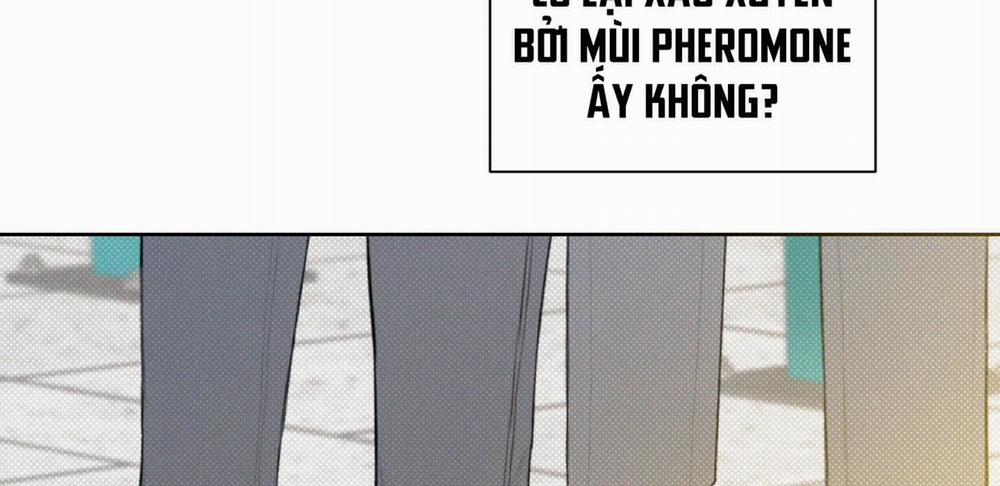 Tháng 12 Của Tôi 8 trang 204