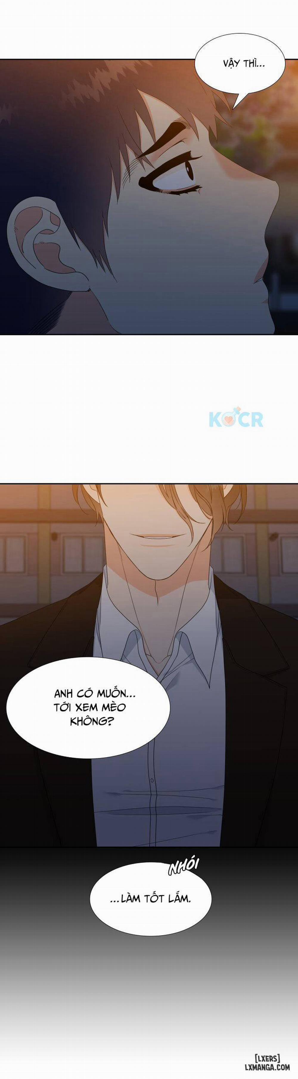 Thăng cấp tình yêu 14 trang 16