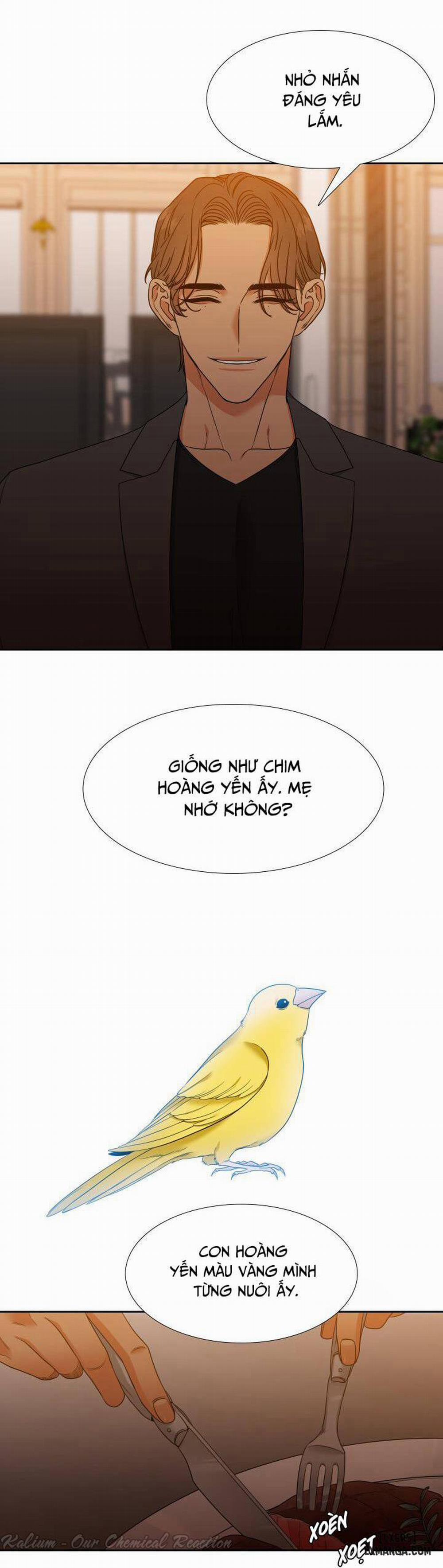 Thăng cấp tình yêu 32 trang 16