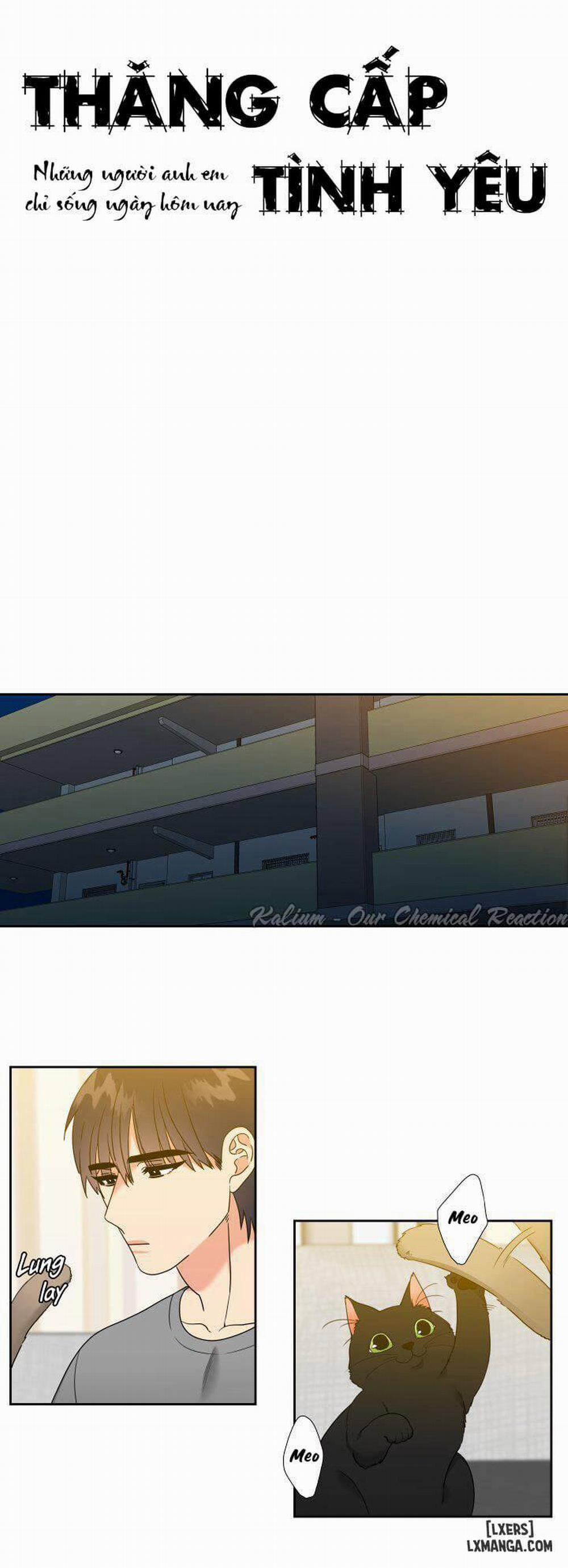 Thăng cấp tình yêu 46 trang 0