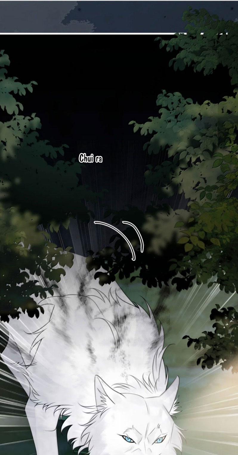 Thẳng Thắn Từ Nghiêm 132 trang 22