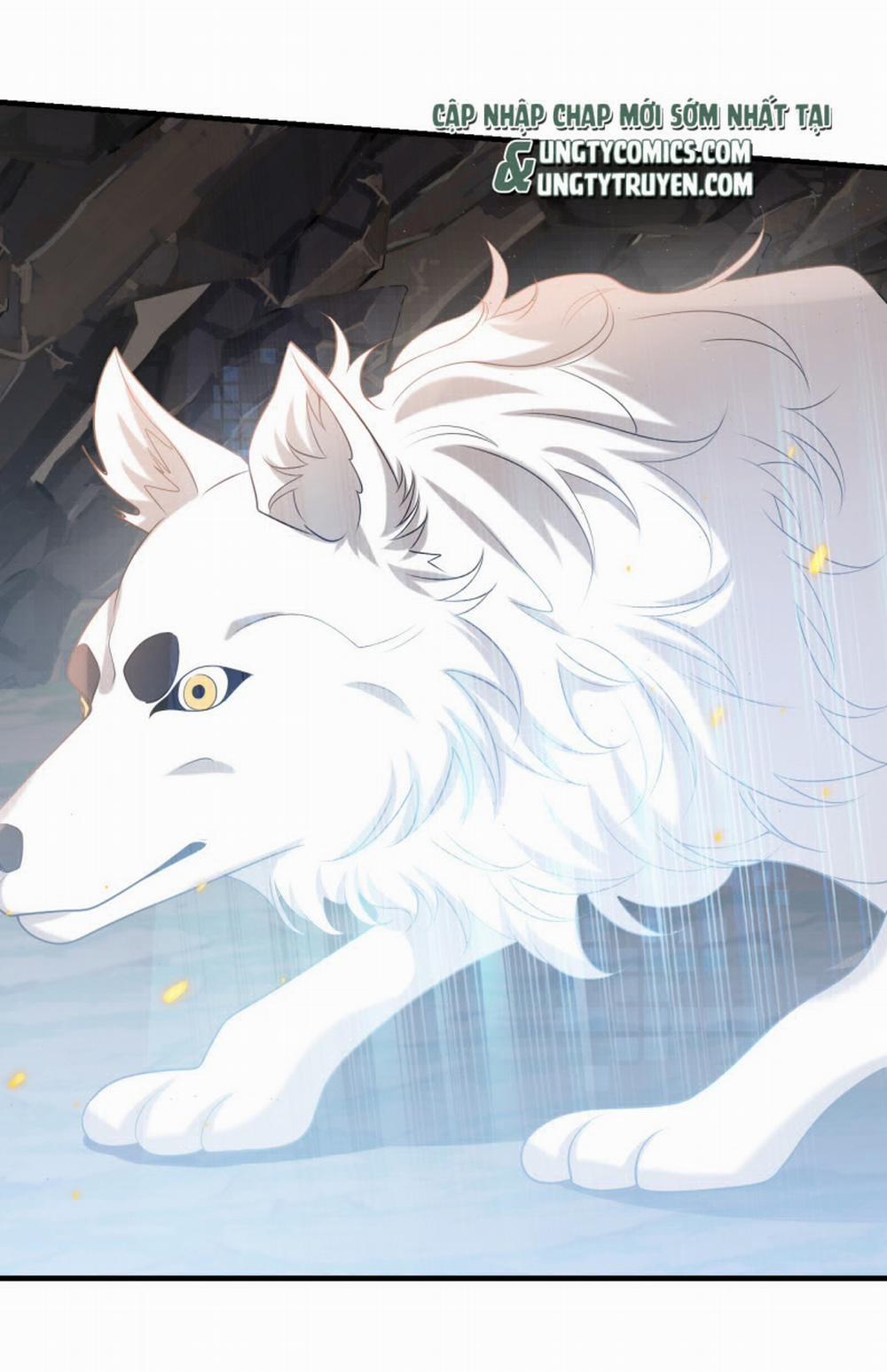 Thẳng Thắn Từ Nghiêm 35 trang 13