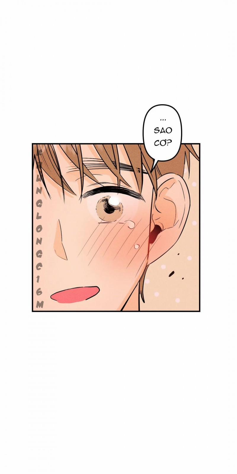 Thang Thanh Âm 3 trang 31