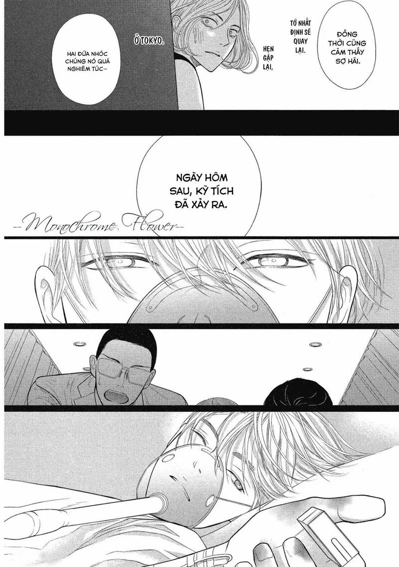 Tháng Tư Ở Thành Phố Tokyo 9 trang 35