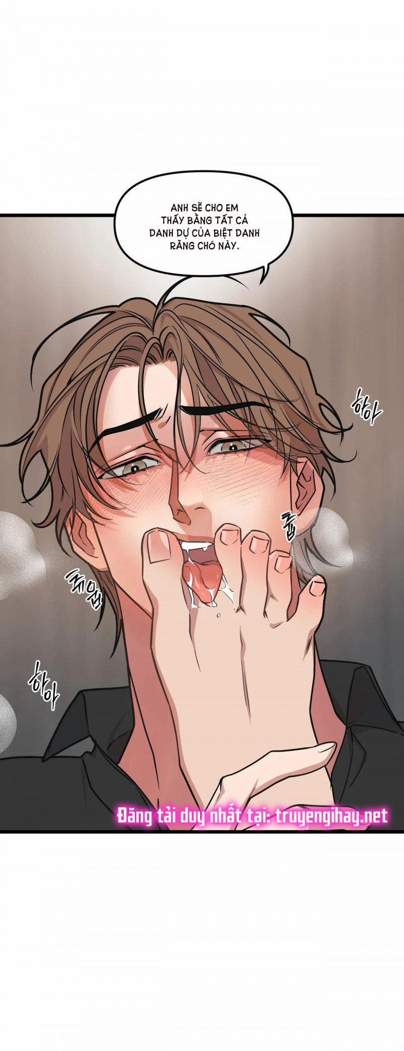 Thanh Âm Cực Đại 71.5 trang 19