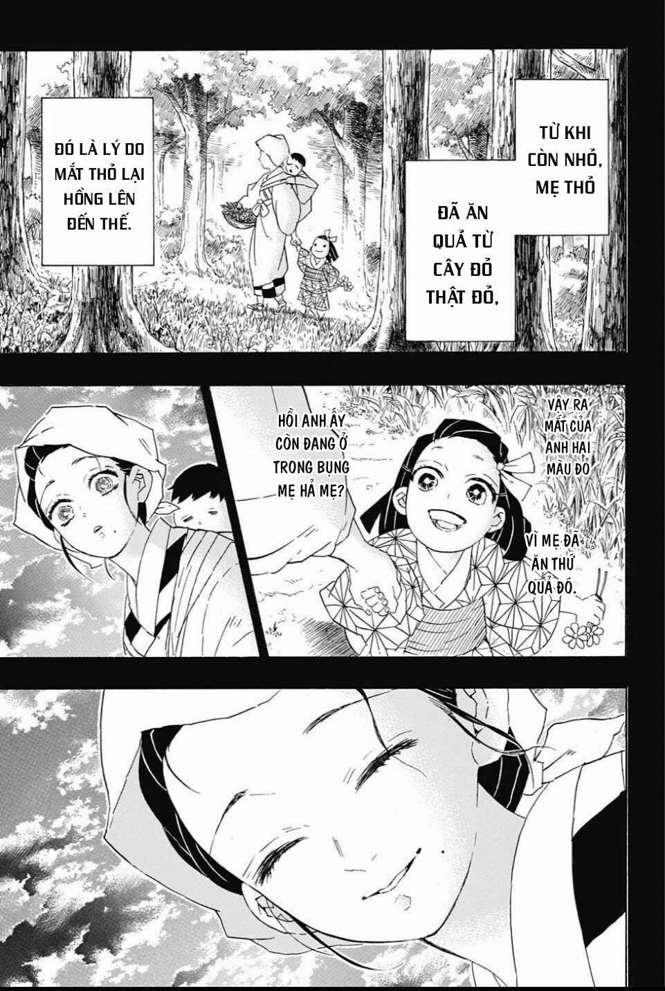 Thanh Gươm Diệt Quỷ 85 trang 9