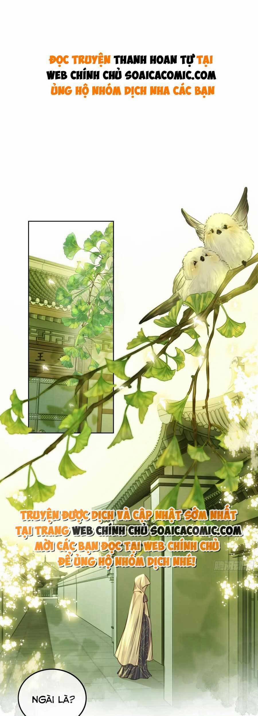 Thanh Hoan Tự 31 trang 0