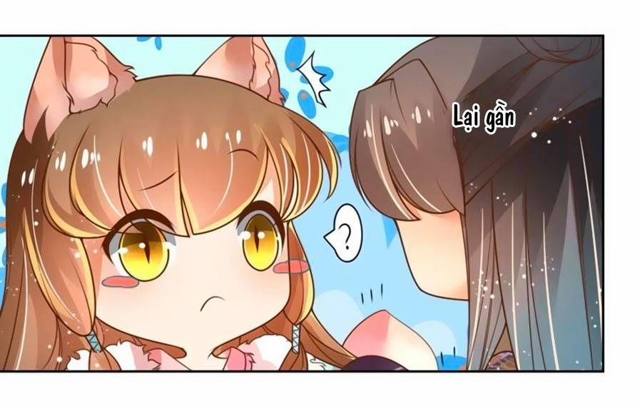 Thanh Khâu Nữ Đế: Phu Quân Muốn Tạo Phản 12 trang 19