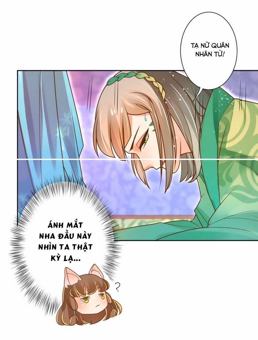 Thanh Khâu Nữ Đế: Phu Quân Muốn Tạo Phản 13 trang 7