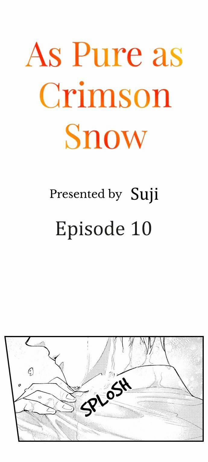 Thanh Khiết Tựa Huyết Tuyết 10 trang 0