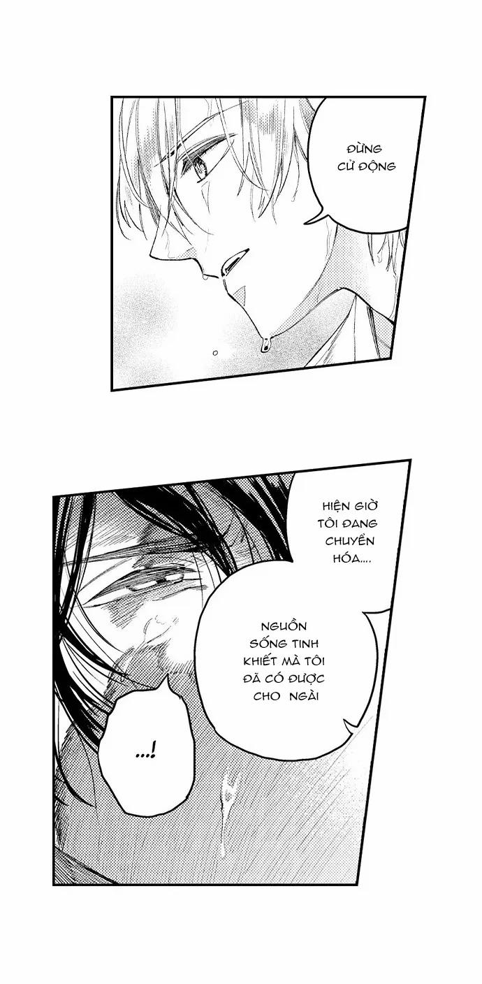 Thanh Khiết Tựa Huyết Tuyết 12 trang 6