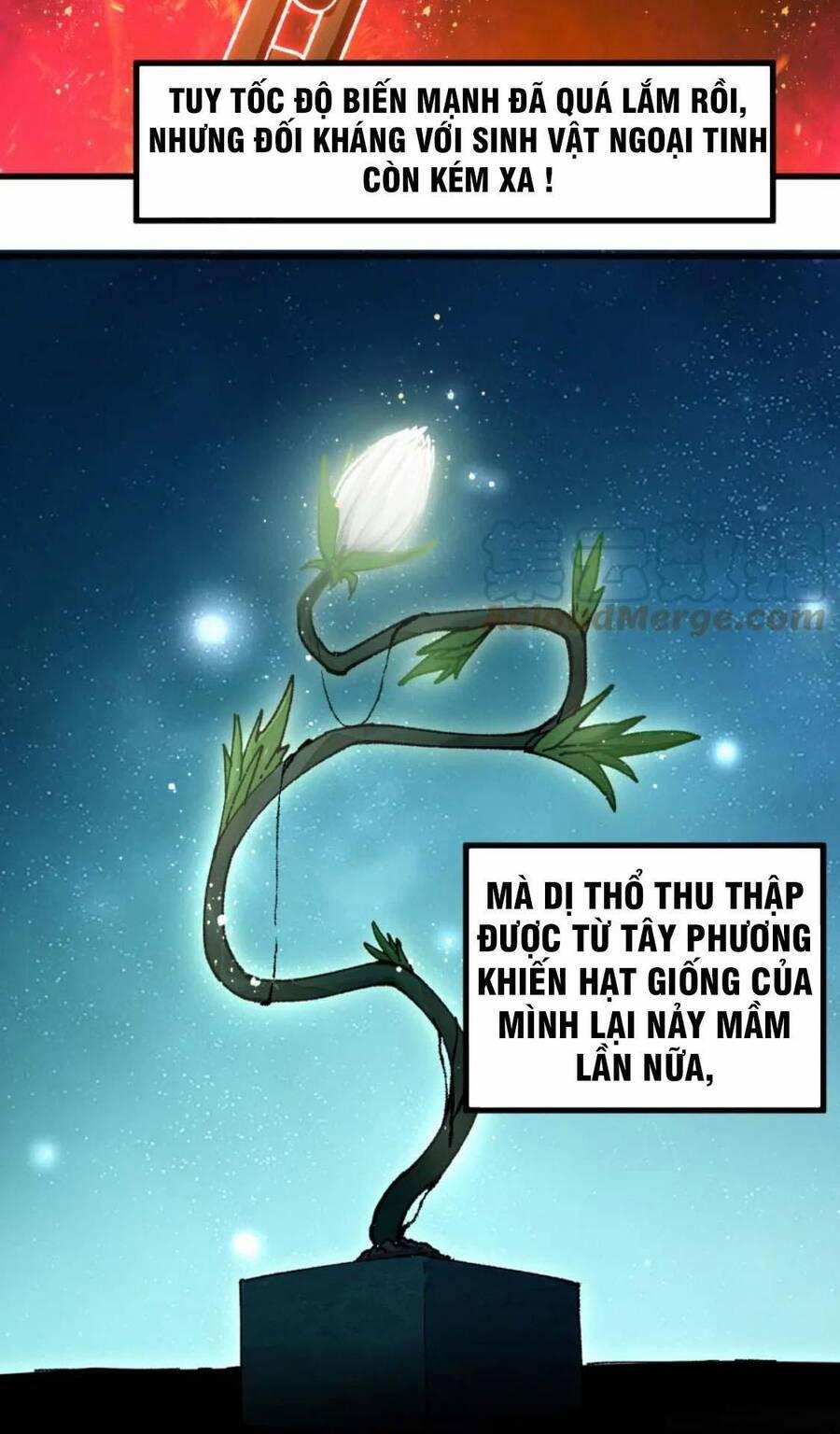 Thánh Khư 193 trang 25