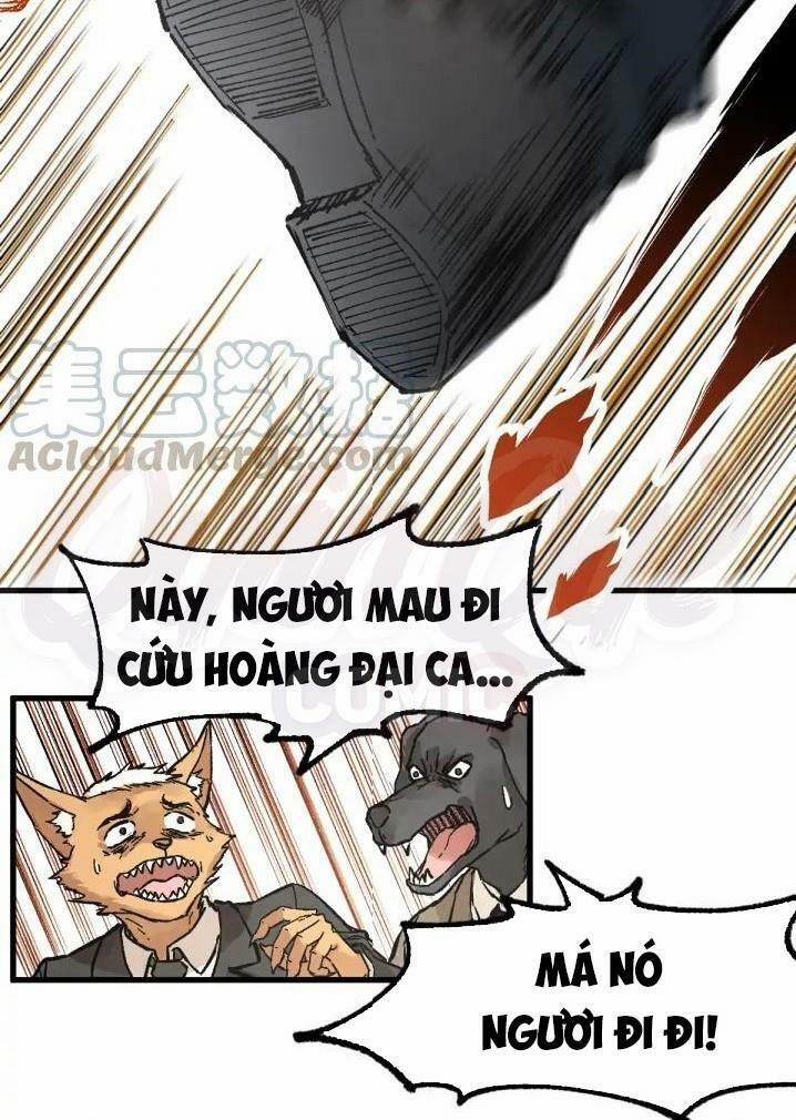 Thánh Khư 78 trang 17