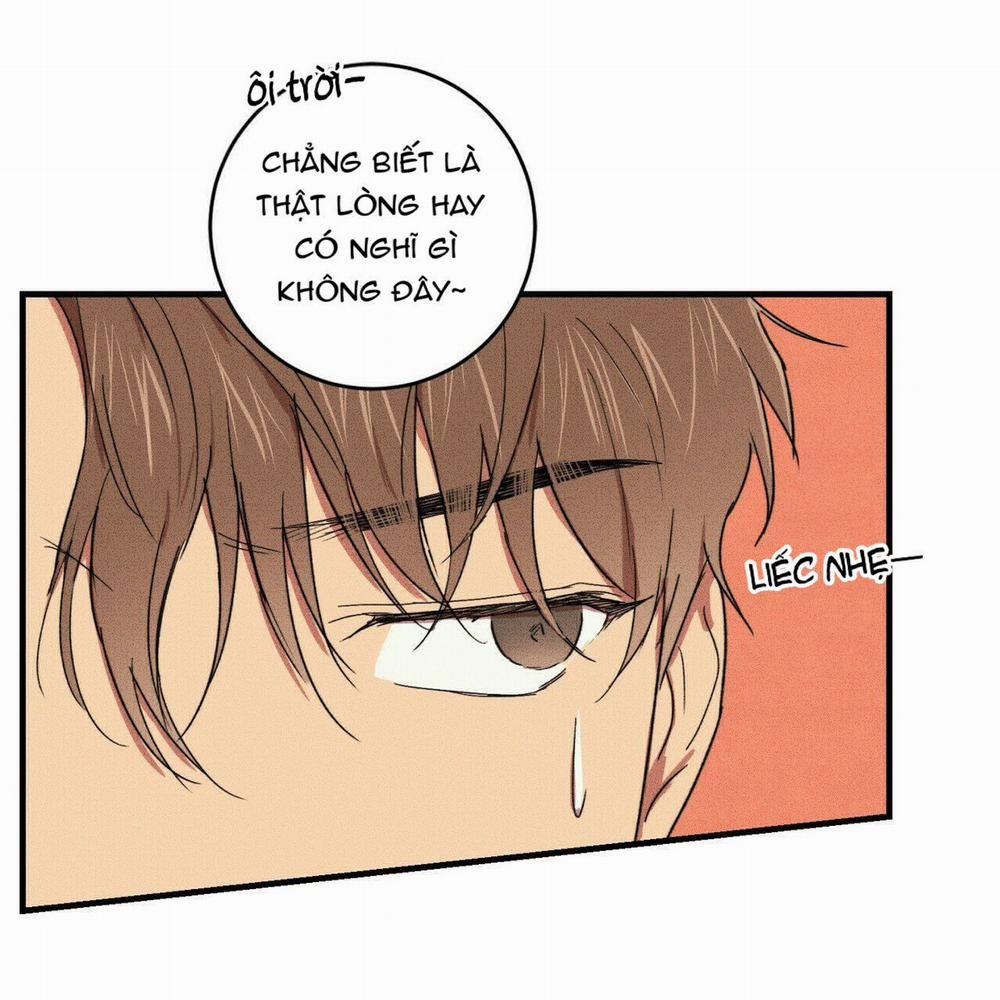 Thanh Niên Văn Học 10 trang 28