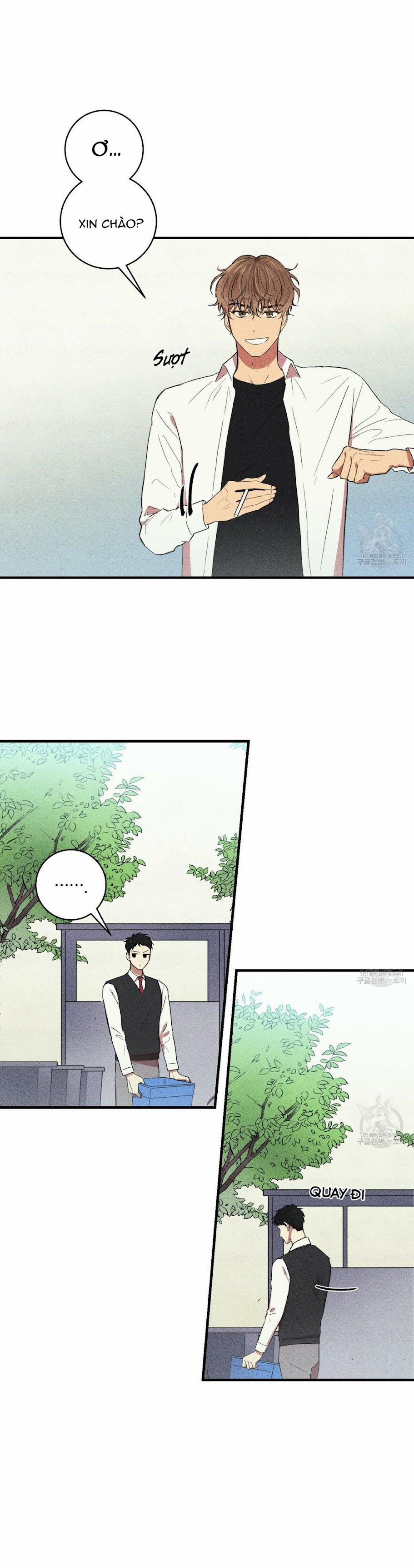 Thanh Niên Văn Học 4 trang 0