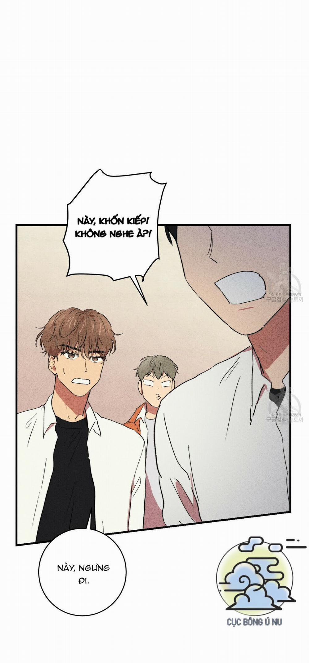 Thanh Niên Văn Học 6 trang 16