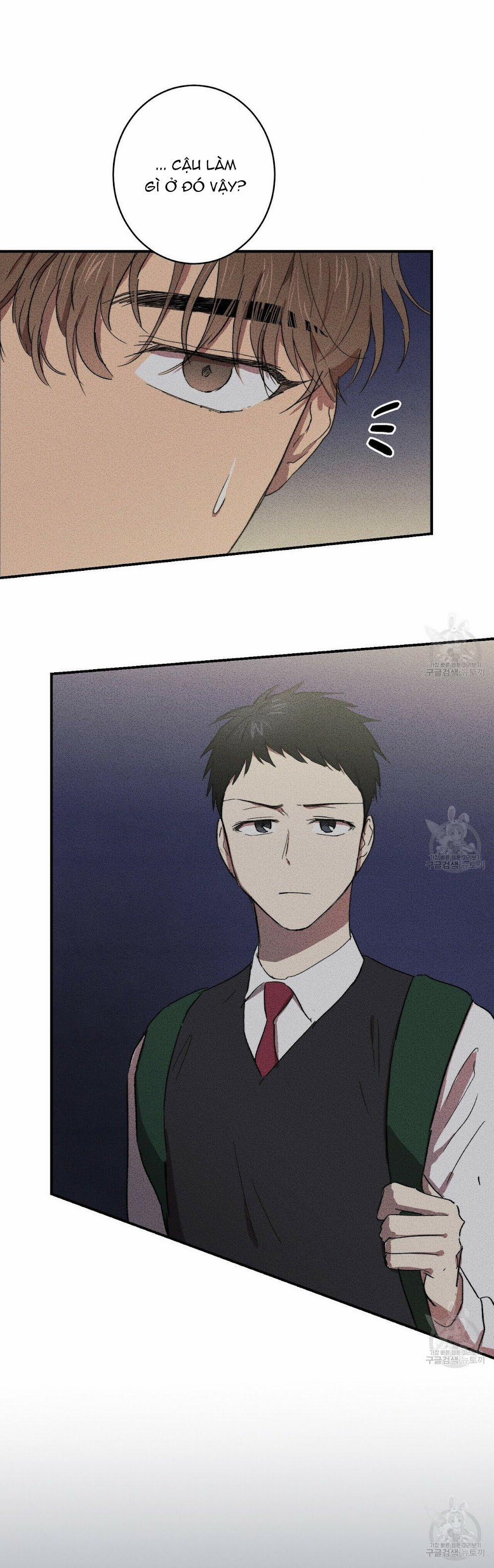 Thanh Niên Văn Học 6 trang 37