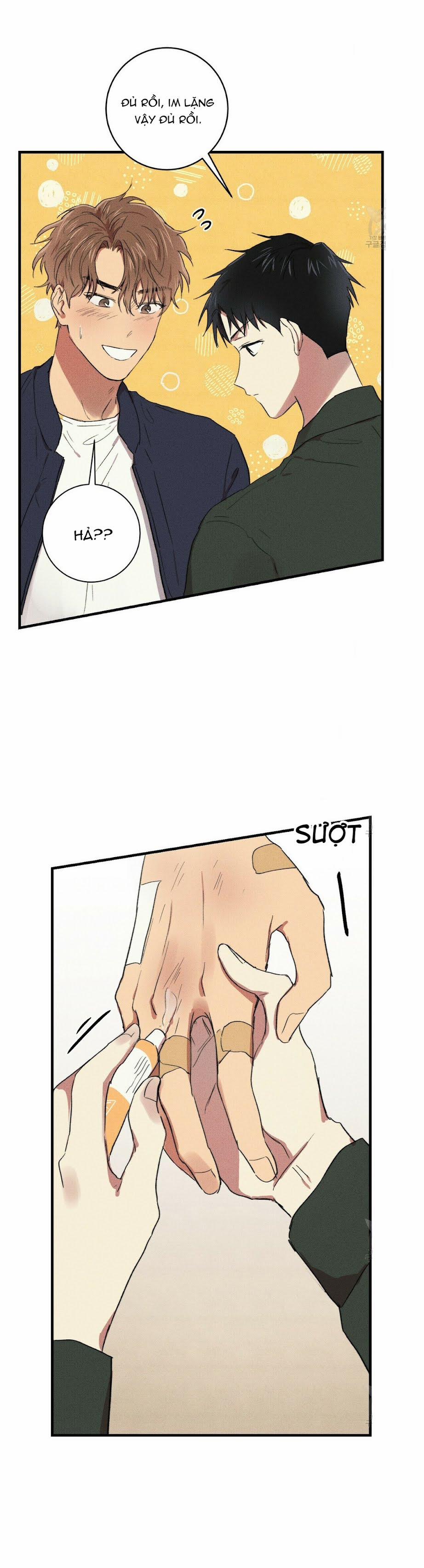 Thanh Niên Văn Học 9 trang 20