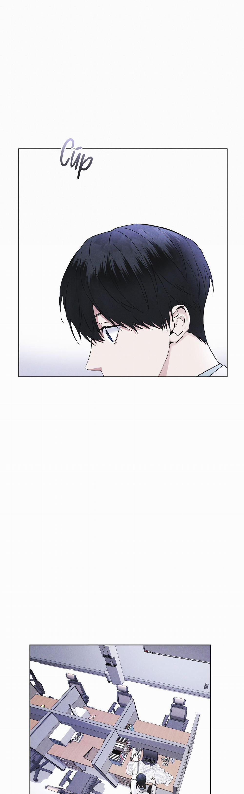 Thành Phố Cầu Vồng 12 trang 5